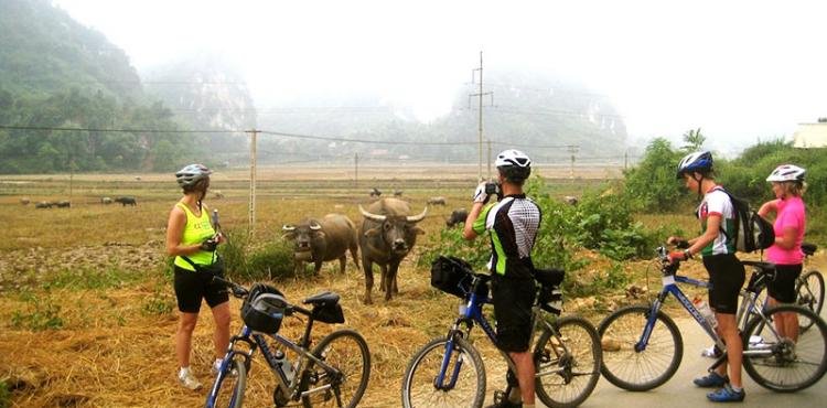 The Emerald Valley Escape: Discovering the Soul of a Mai Chau Cycling Tour